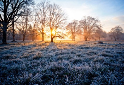 Сегодня в Нижнем Новгороде ожидается переменная облачность, без осадков