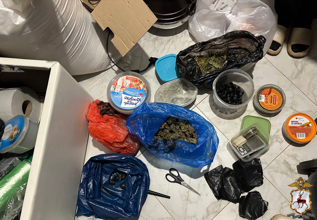 В Нижегородской области наркополицейские пресекли попытку сбыта растительного наркотика в крупном размере В Нижегородской области наркополицейские пресекли попытку сбыта растительного наркотика в крупном размере