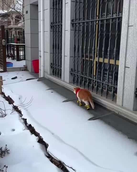 Сегодня нужно утеплиться, а то обещают легкий морозец