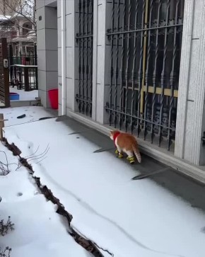 Сегодня нужно утеплиться, а то обещают легкий морозец