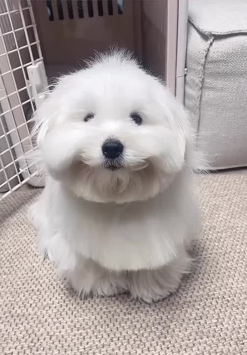 Проснулись, улыбнулись!. Доброе утро! Прислать новость Главные новости региона: Telegram | MAX