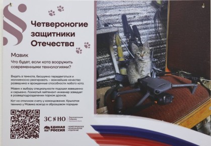 Знаете, что сильнее всего выдает в суровом бойце человека? Его отношение к животным