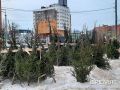 Площадки для продажи новогодних елей и украшений определены в Нижнем Новгороде