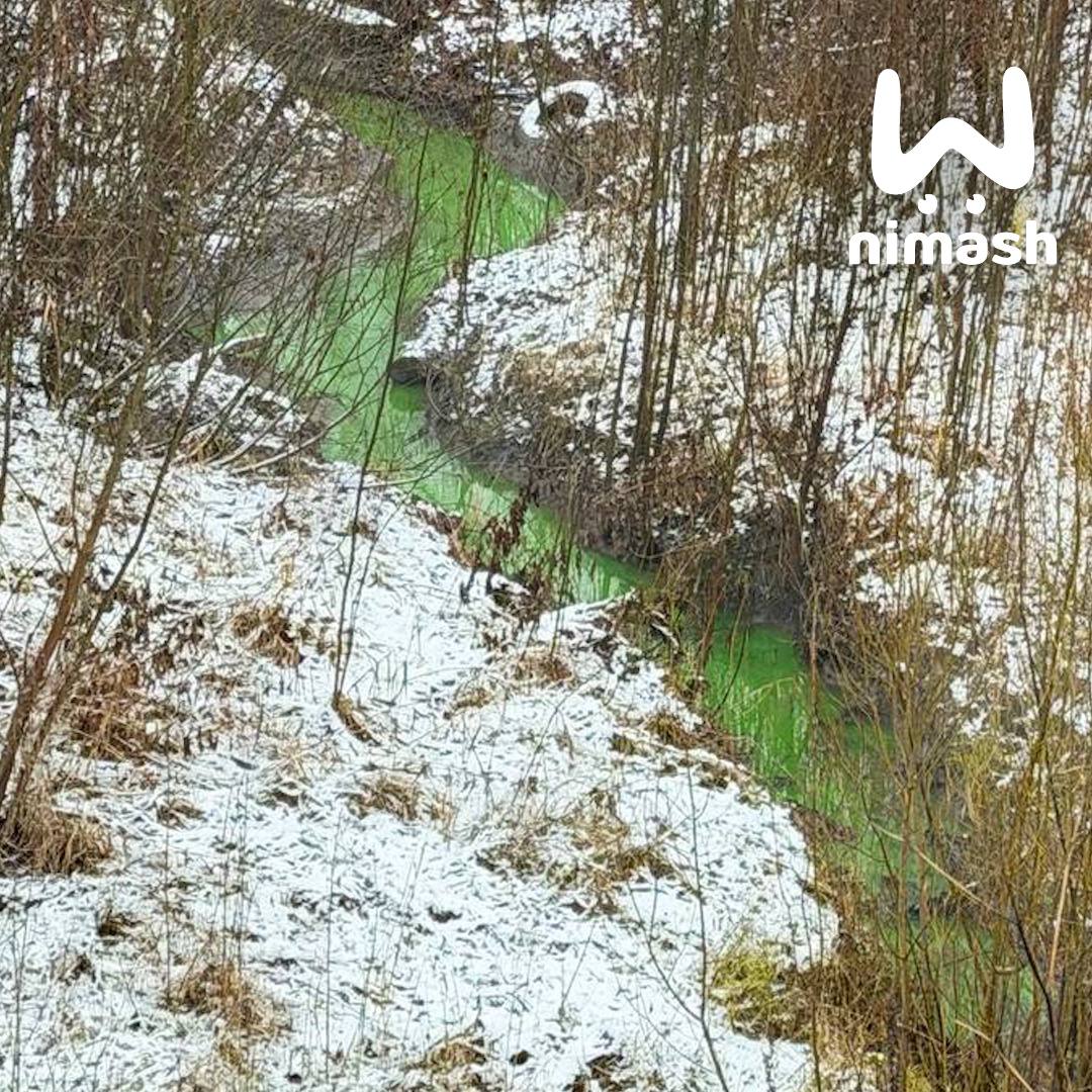 Гномы разлили зелье в Лукерьинском пруду в Кстовском районе Гномы разлили зелье в Лукерьинском пруду в Кстовском районе