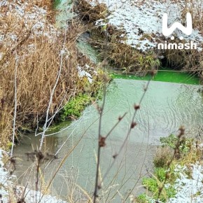 Гномы разлили зелье в Лукерьинском пруду в Кстовском районе
