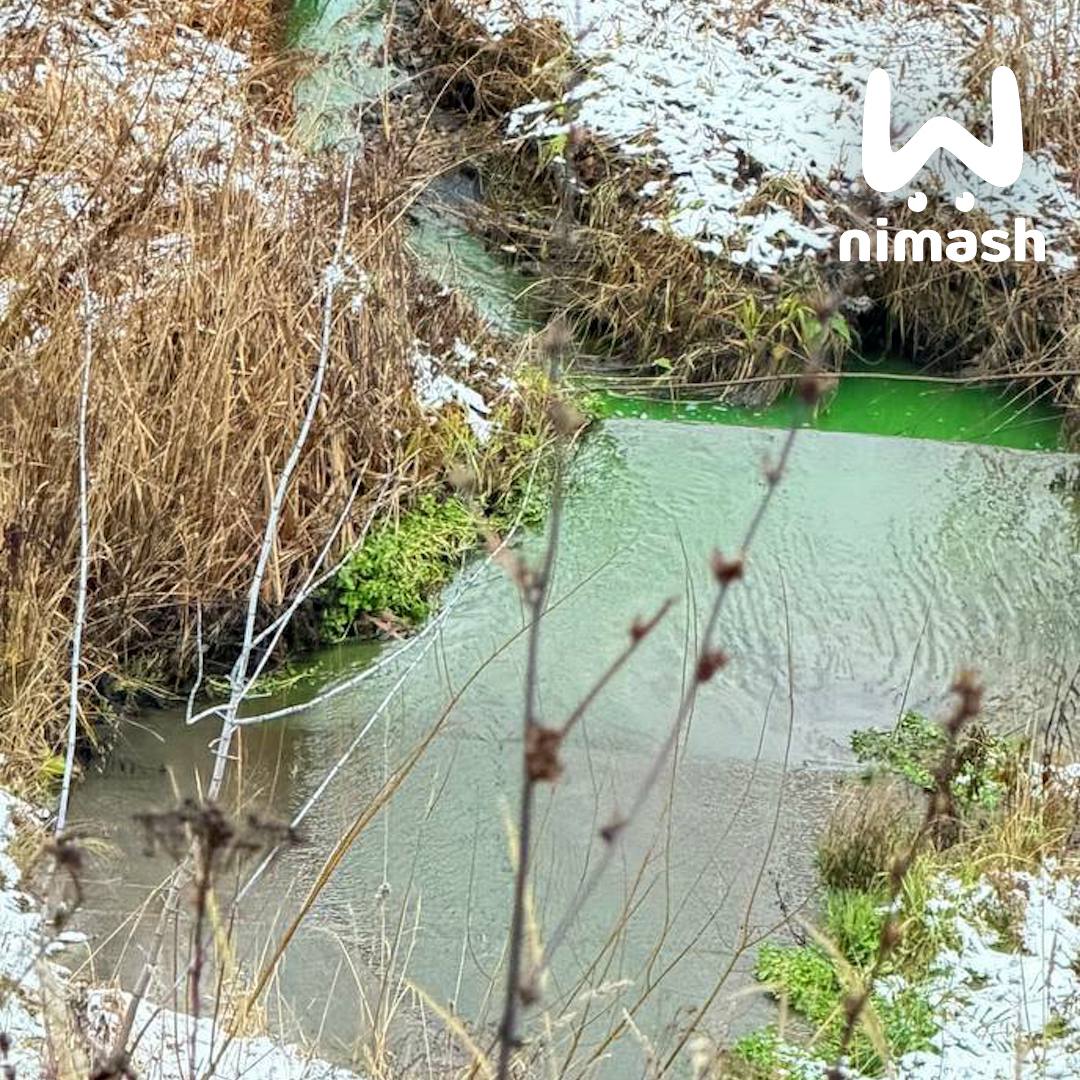 Гномы разлили зелье в Лукерьинском пруду в Кстовском районе