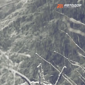 , !.    -12      , -11      ,   -1        ...