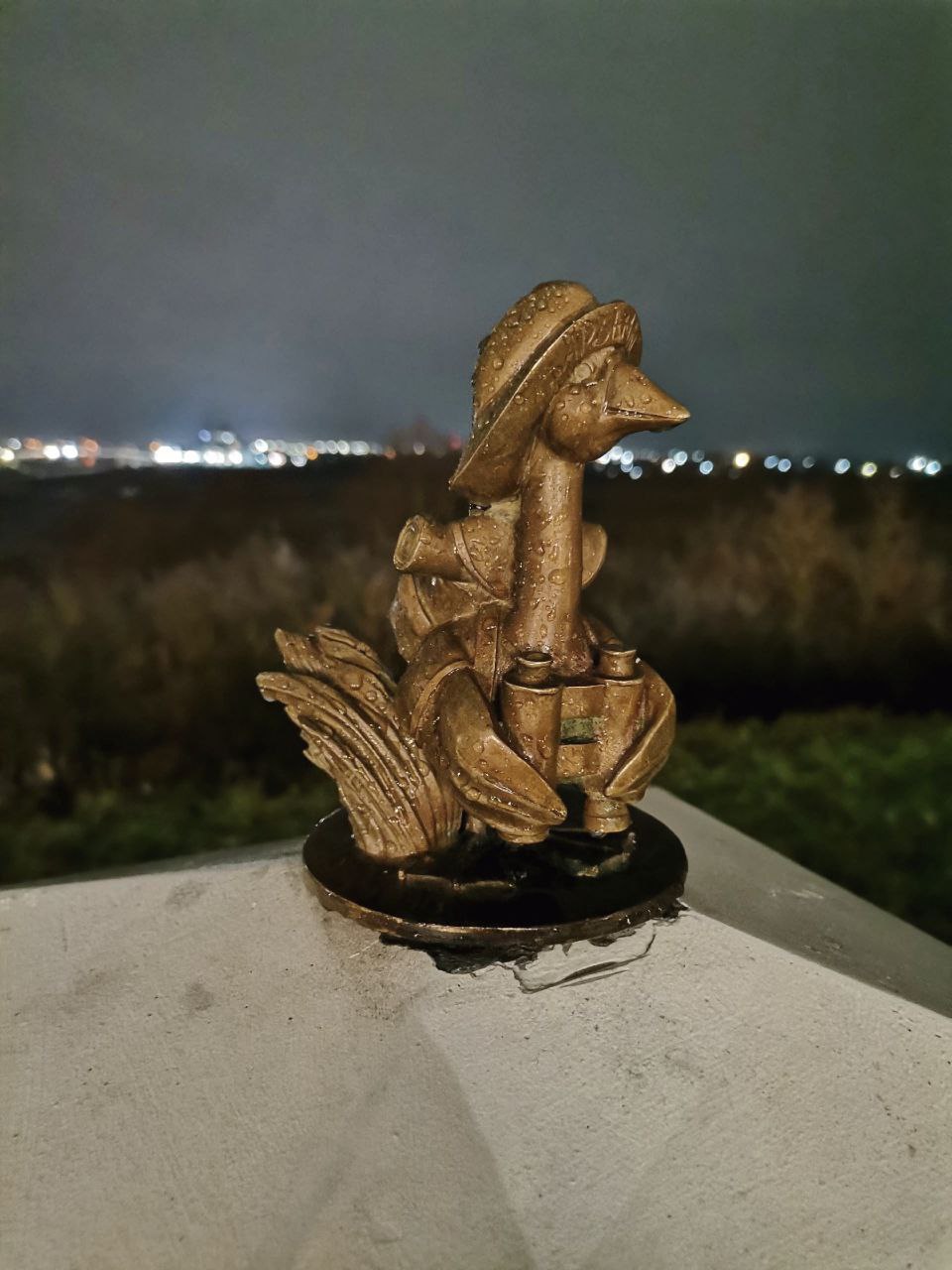 Гусь-путешественник появился на смотровой площадке в Арзамасе Гусь-путешественник появился на смотровой площадке в Арзамасе