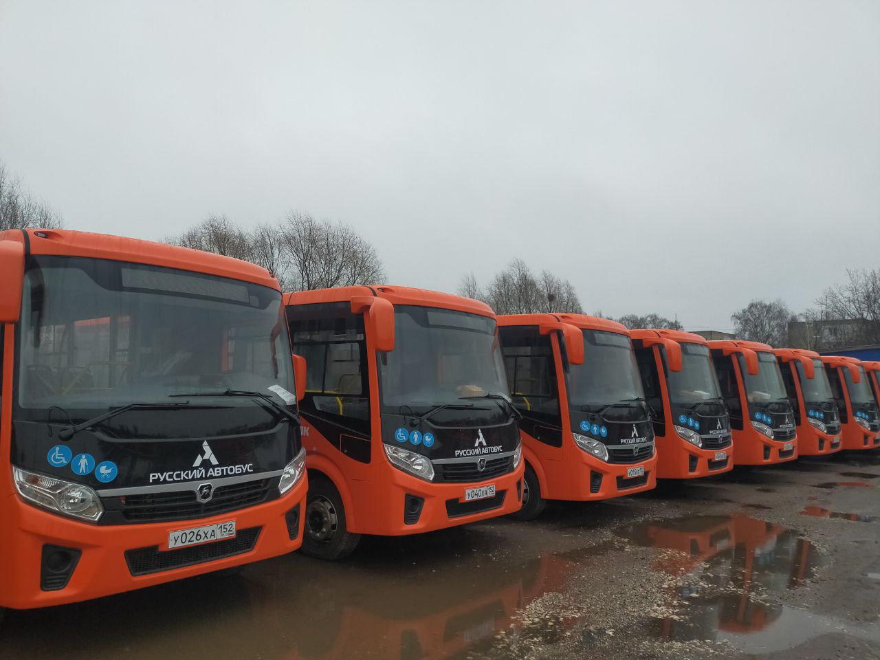 Еще 50 новых автобусов поступило в Нижний Новгород Еще 50 новых автобусов поступило в Нижний Новгород