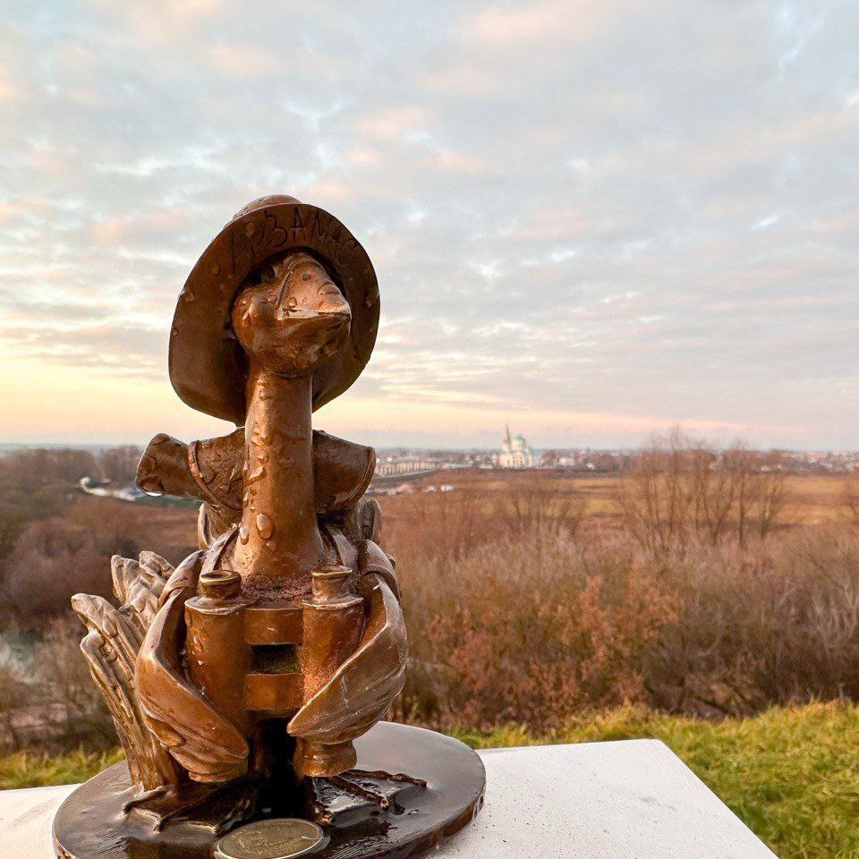 Гусь-путешественник появился на смотровой площадке в Арзамасе