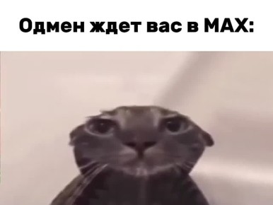 У Ni Mash есть канал в MAX, если вы забыли (мы не дадим)