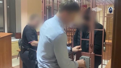 Полиция задержала восемь жителей Нижегородской области, кравших деньги у участников СВО, сообщает СК