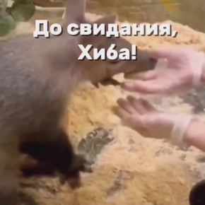 Доброе утро, нижегородцы!. Сегодня в Нижнем температура воздуха: утром +5, дождь, днем...+6, пасмурно, вечером....+5, пасмурно