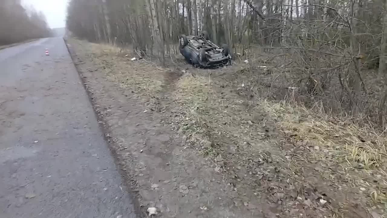 В Семёновском округе иномарка вылетела в кювет