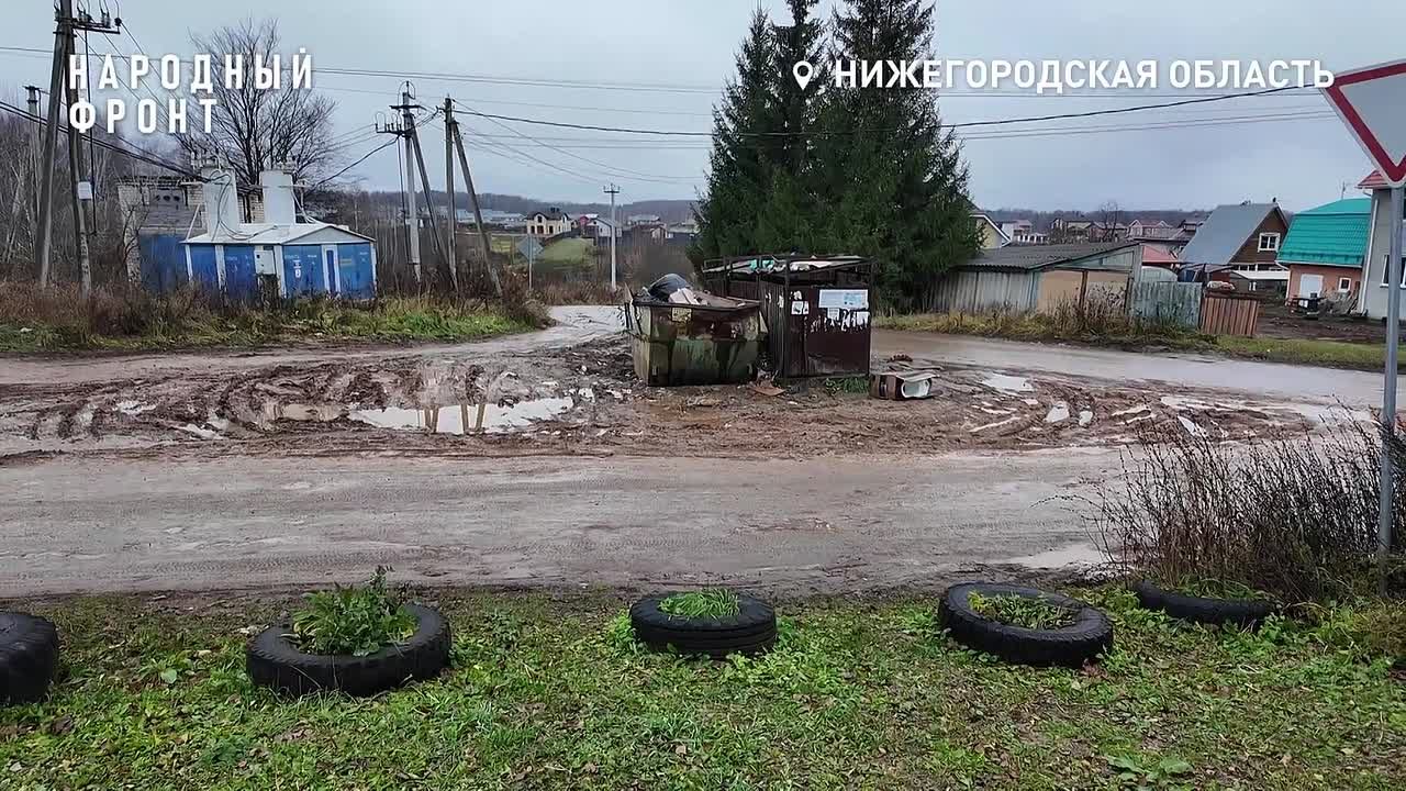 Долгий путь к знаниям: учащиеся в деревне Гремячки идут к школьному автобусу по темной трассе без тротуаров