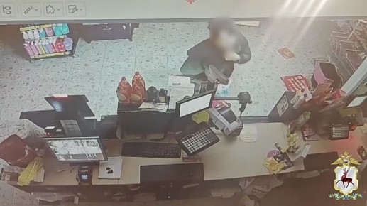 22-летний молодой человек и 15-летний подросток совершили серию краж в Арзамасе