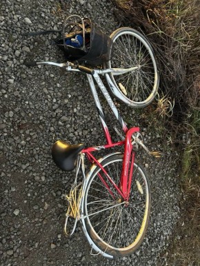    4  2025       11   ,   1  , 12  ,    1 