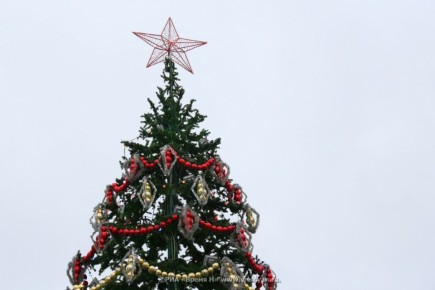 Ель на площади Минина и Пожарского установлена в соответствии с требованиями