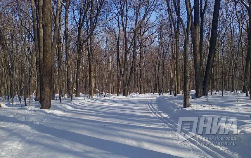 Реконструкция спортбазы «Кузнечиха» откладывается