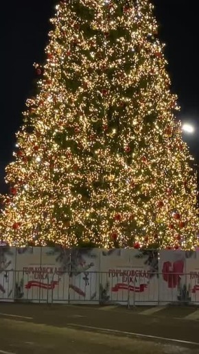 Ель на площади Минина и Пожарского установлена в соответствии с требованиями, мы проверили