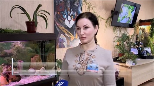 В последний день осени во всём мире отметили Всемирный день домашних животных