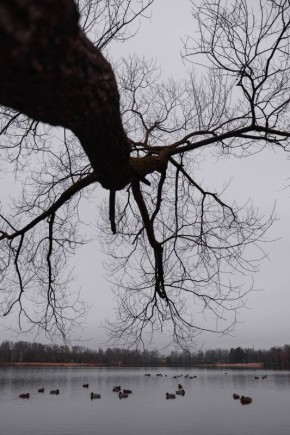 Заканчивается первая неделя декабря, а погода в Нижнем Новгороде по климату и температуре все ещё соответствует ноябрю