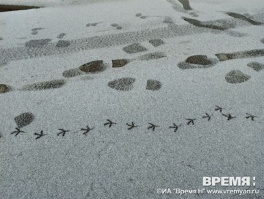 Дождь со снегом ожидаются в Нижнем Новгороде 7 декабря