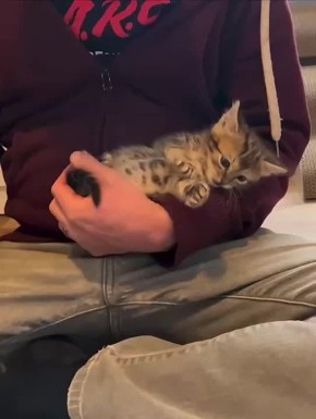 Выходные заканчиваются, как и все хорошее