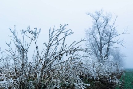 Сегодня в Нижнем Новгороде ожидается до 5 градусов мороза, утром возможен небольшой снег
