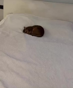 Как же так: снова понедельник?!