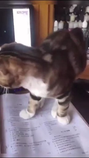 Когда все дела сделаны, можно и отдохнуть