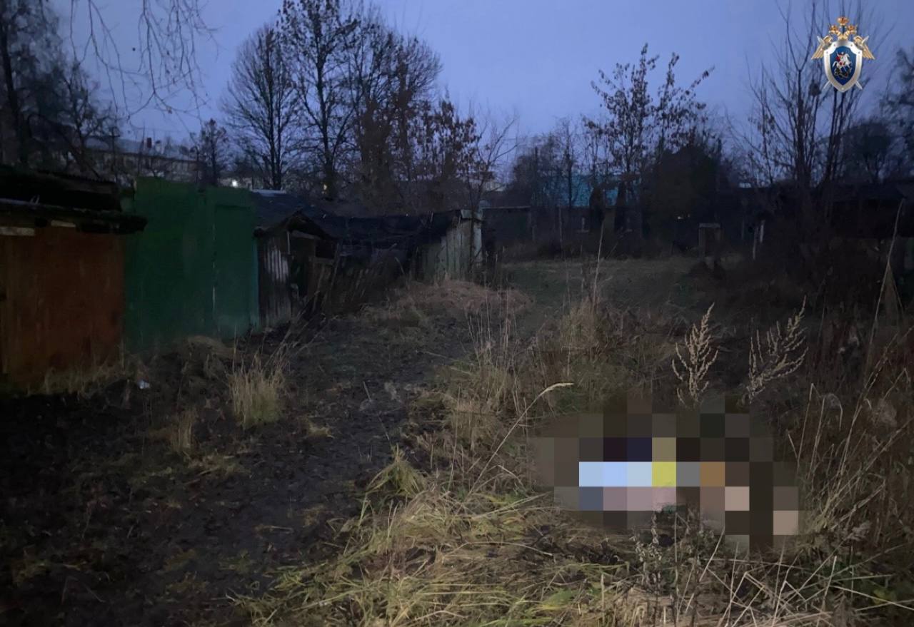 В городе Богородске мужчина обвиняется в убийстве знакомой