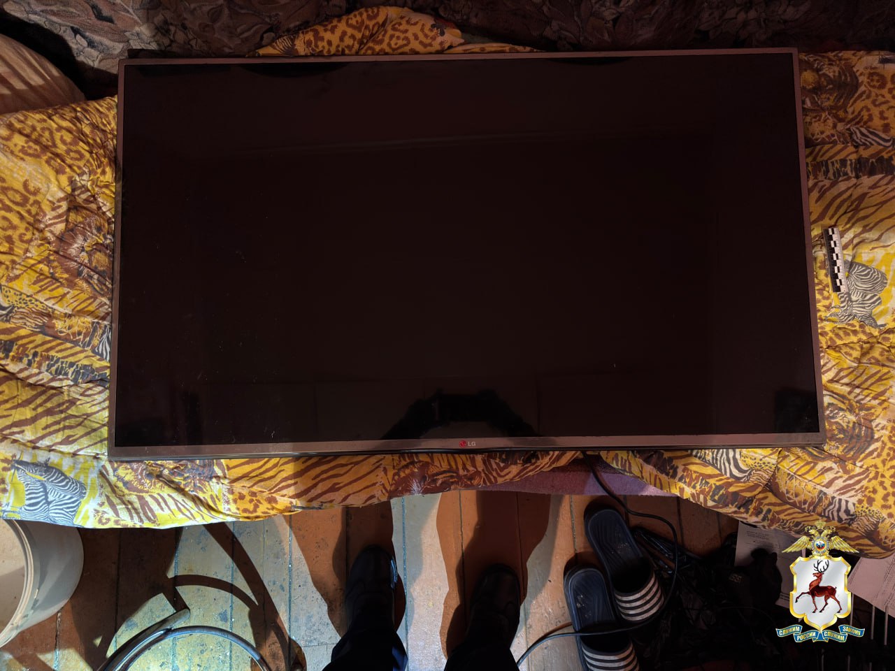 В Перевозском округе полицейские задержали подозреваемого в квартирной краже