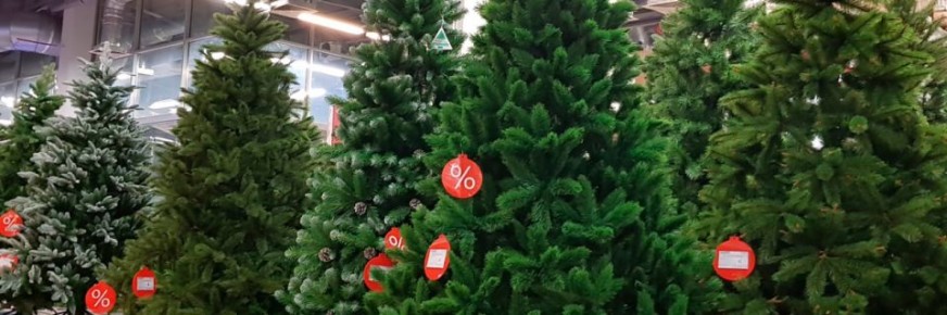 Мошенничество под ёлкой: злоумышленник лишил нижегородку денег и новогоднего настроения