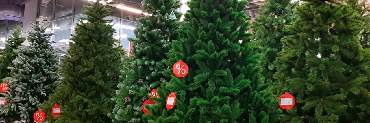 Мошенничество под ёлкой: злоумышленник лишил нижегородку денег и новогоднего настроения