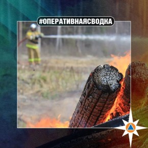 #ОПЕРАТИВНАЯСВОДКА. За прошедшие сутки на территории Нижегородской области ликвидировано 2 пожара: загорание надворной постройки в м.о.г. Первомайск на площади 1 кв.м