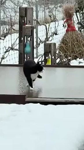 Спешим к вам с новостями на всех парах