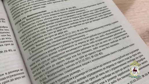 Нижегородские следователи направили в суд дело о мошенничестве при продаже мебели
