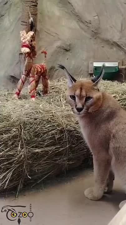 ������� ���� ��� ��������� � ������ ���� � ������������� ��������