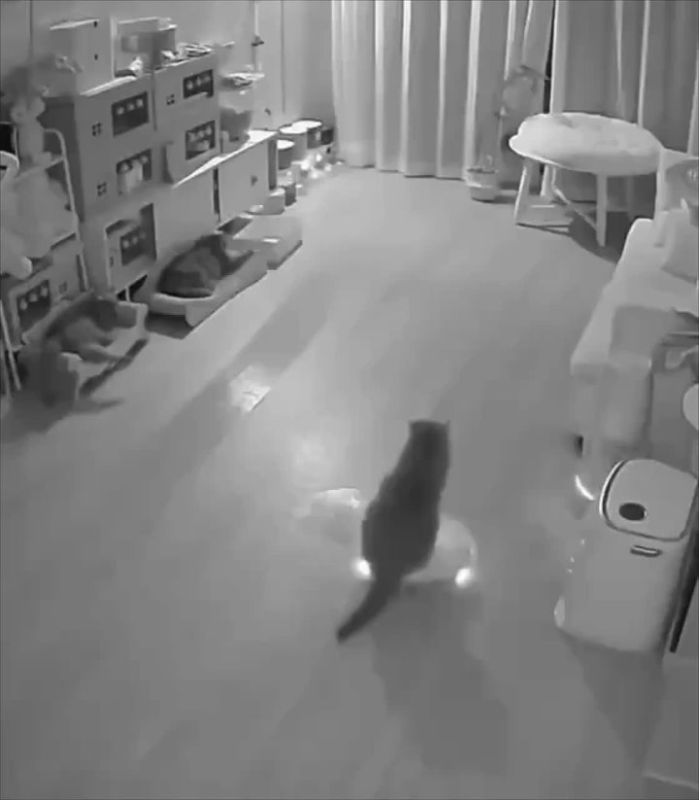 ��������� ������� ���������