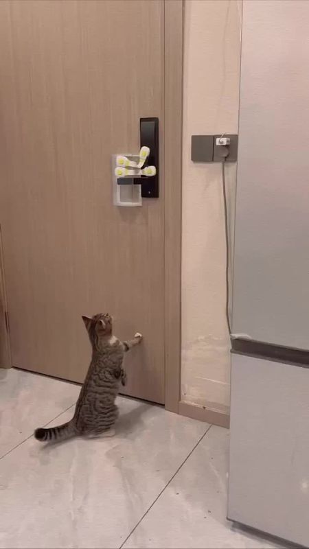 ������ �� ������.... ������ ����! �������� ������� ������� ������� �������: VK | MAX