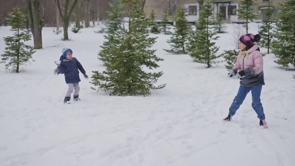 12 ������� � ������ ���������� ������ ��������������� �������� � ���� ����������� ���������� ���������