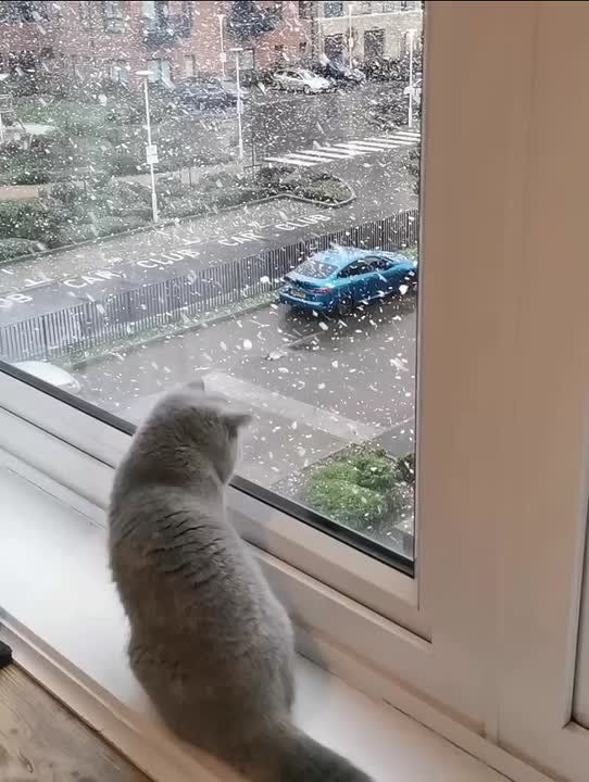 ������� ���� ����� ���, �� ���� � ���������