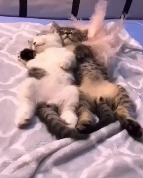 Вот и выходные подошли к концу – как всегда очень быстро