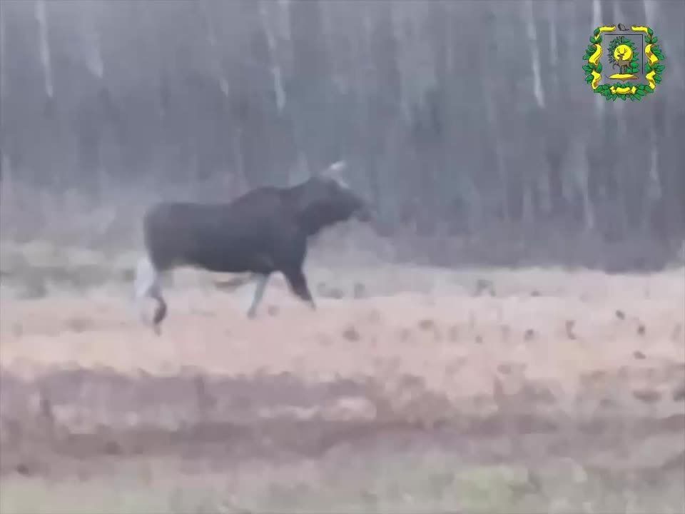 � ����������� ���������� ������� ��� �� ��������� ����� ���������������� ���� ����� ����� � ������������ ����� ��������