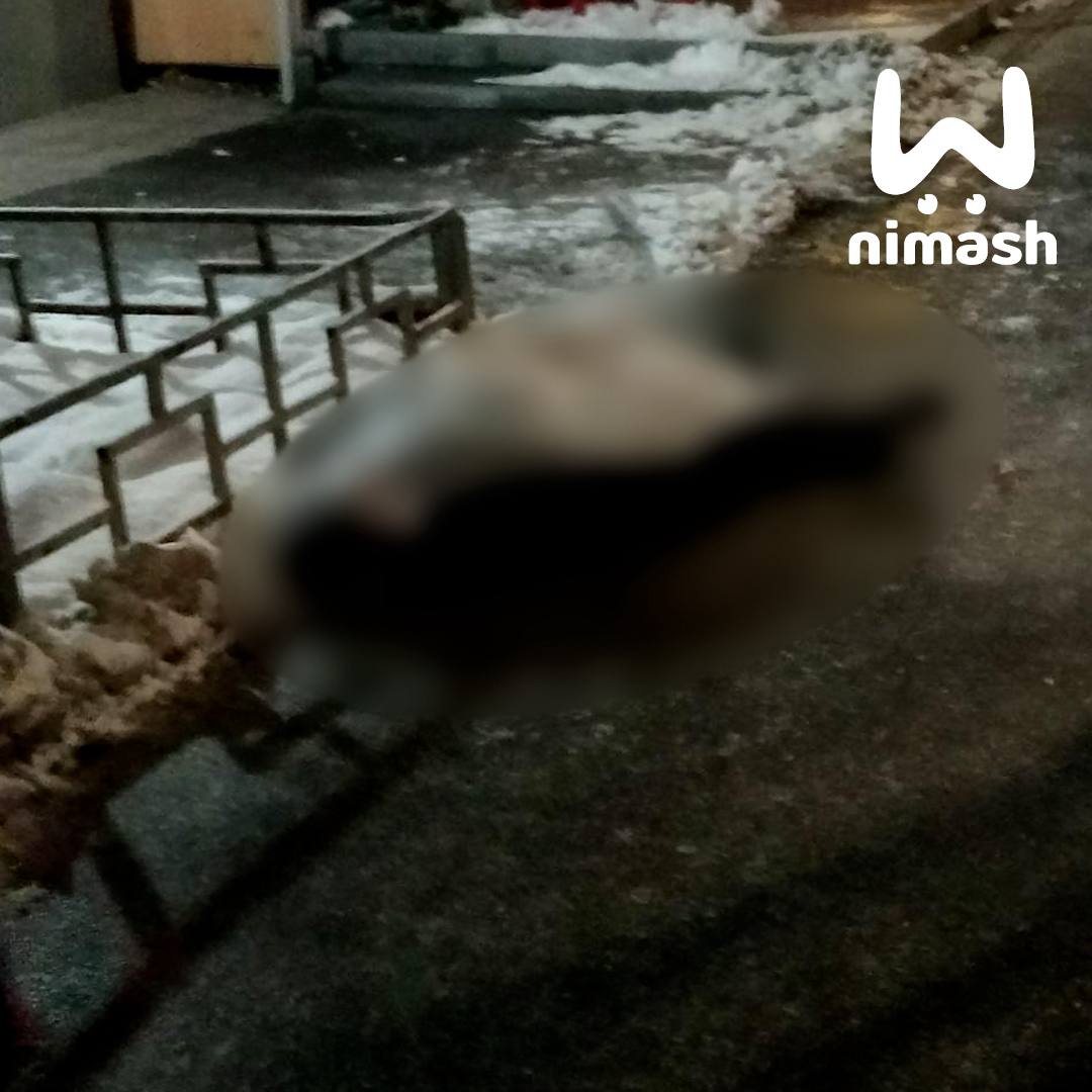 Мужчина, тело которого нашли у дома на Родионова, умер из-за болезни