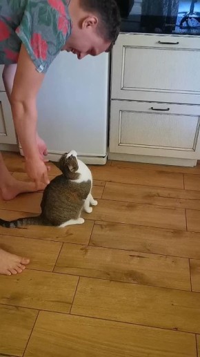 Когда устал, главное, чтобы был тот, кто подхватит на ручки