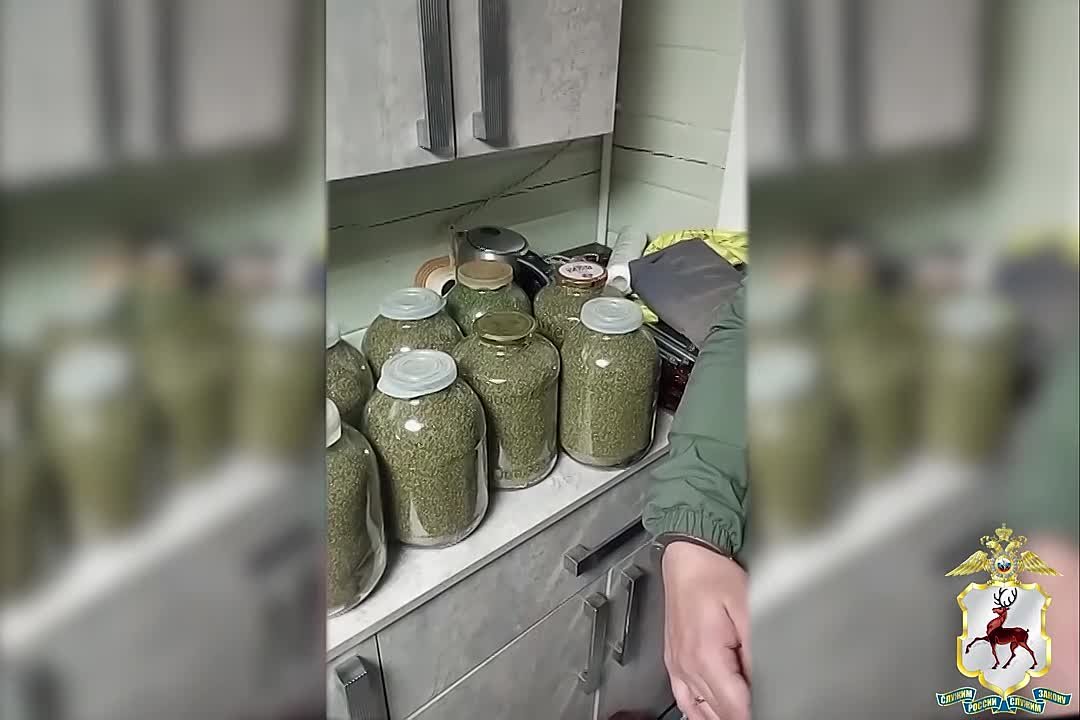 Ведро, 12 банок и 21 свёрток с «дурман-травой» изъяли полицейские у двоих жителей Нижегородской области