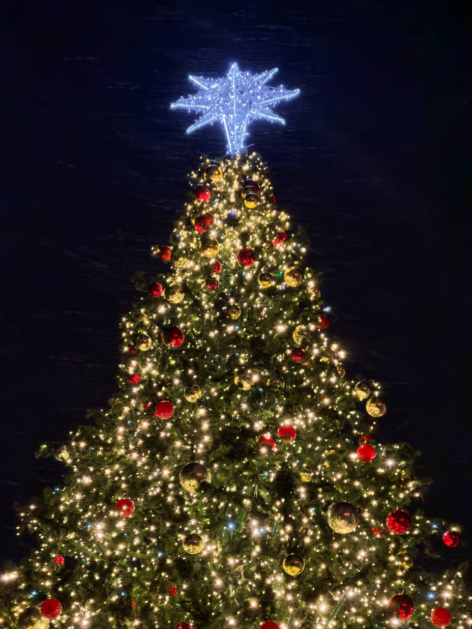 Большую новогоднюю елку установили и около здания Московского вокзала в Нижнем Новгороде Большую новогоднюю елку установили и около здания Московского вокзала в Нижнем Новгороде