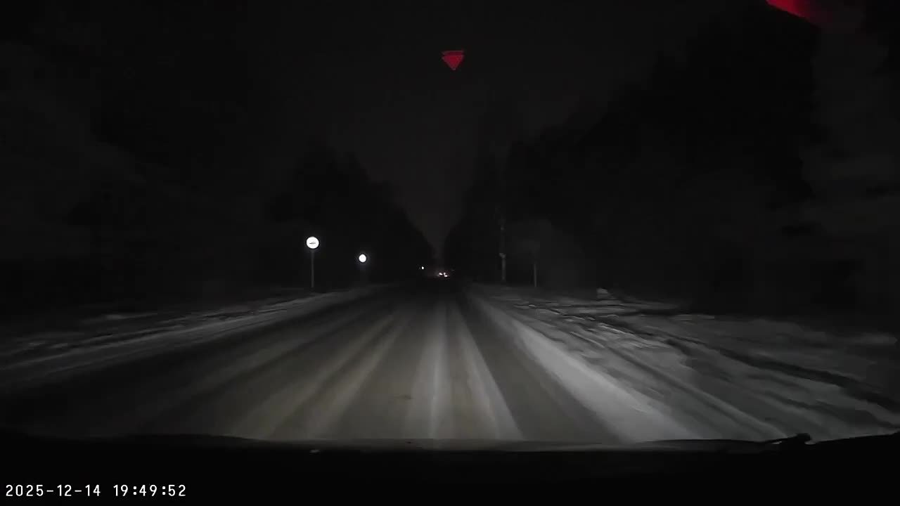 На трассе возле Володарска водитель чудом избежал столкновения с лосем
